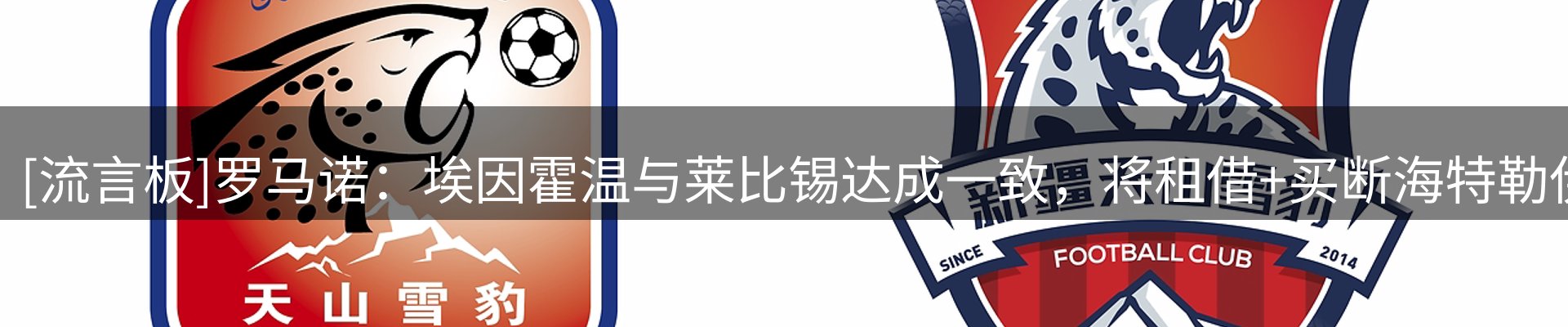 网站资讯